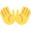 Émoji open hands sign