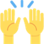 Émoji person raising both hands in celebration