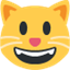 Émoji smiling cat face with open mouth